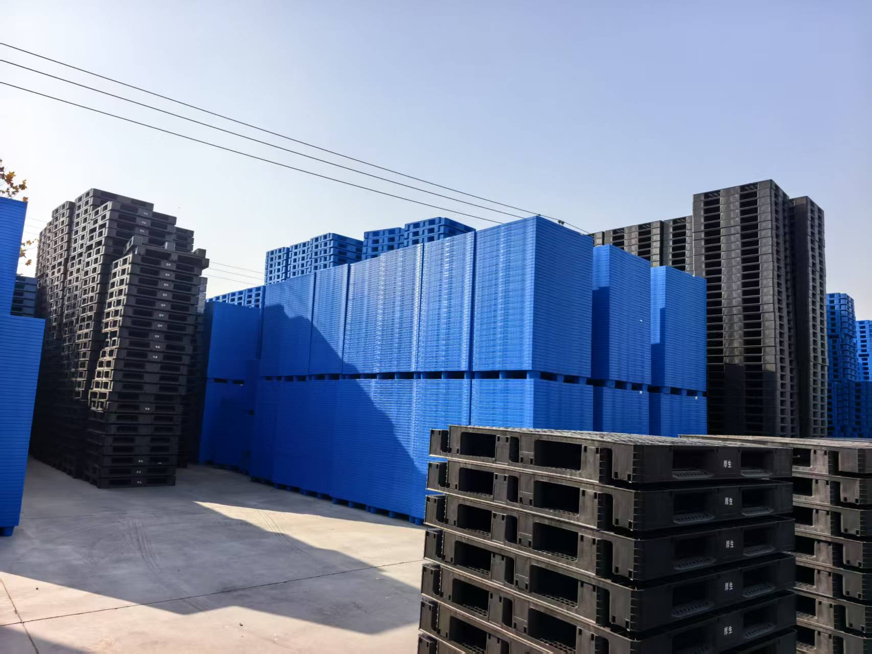 2a9ab032cd1e37da4e8ea21f7fe8e19d