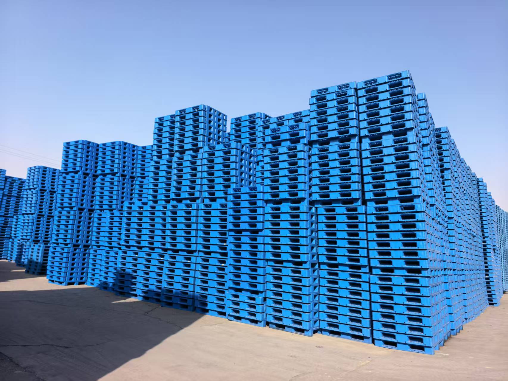 ed0bf6533086cb3e41a0eb4434a34a8e