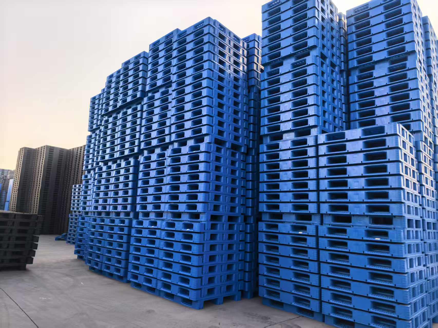 ab2c55e85ff0f577906768e5e29363a3