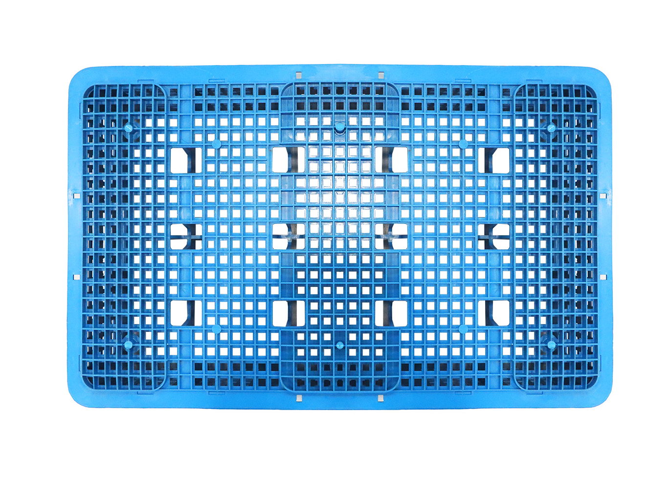 Plastic box with 10 compartments 2